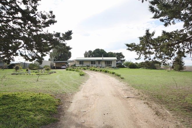 Picture of 3309 Geelong Road, CROSS ROADS VIC 3373