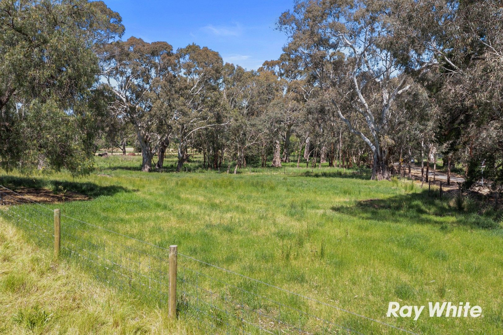 Lot 101 Kirkham Road, Ashbourne SA 5157, Image 1