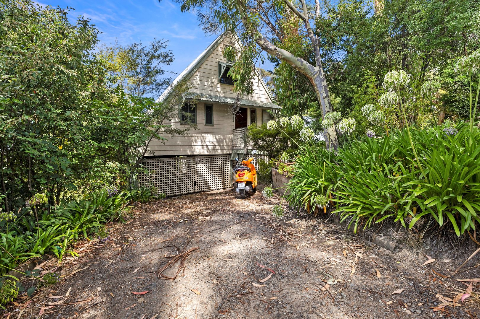 14 Belvedere Terrace, Lorne VIC 3232, Image 1