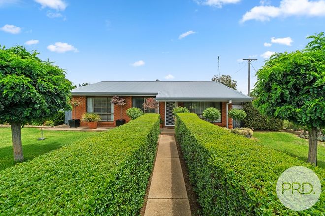 Picture of 66 O'Connor Street, URANQUINTY NSW 2652