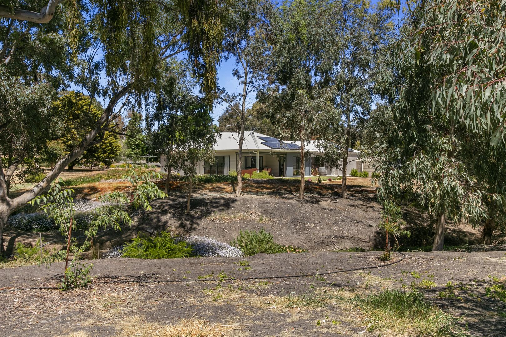 38 Main North Road, Sevenhill SA 5453, Image 1