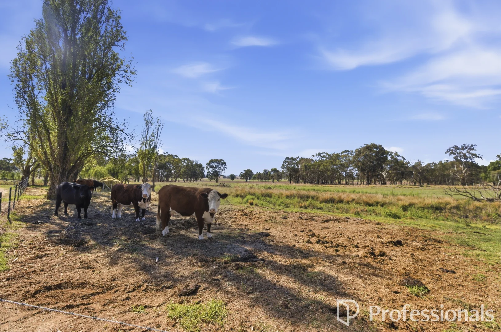 Additional image 28 of 152 Ivydale Road, Wagga Wagga NSW 2650