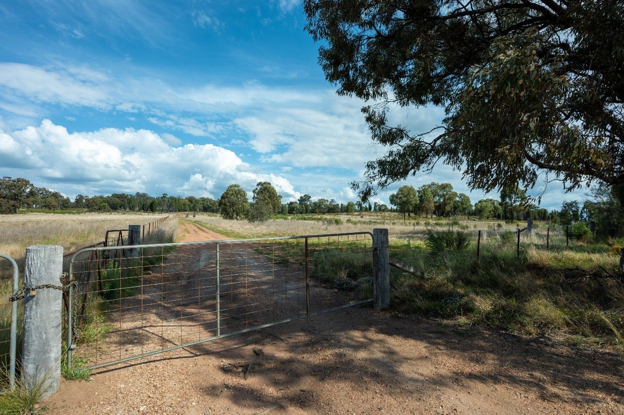 880 Digilah Road, Dunedoo NSW 2844, Image 0