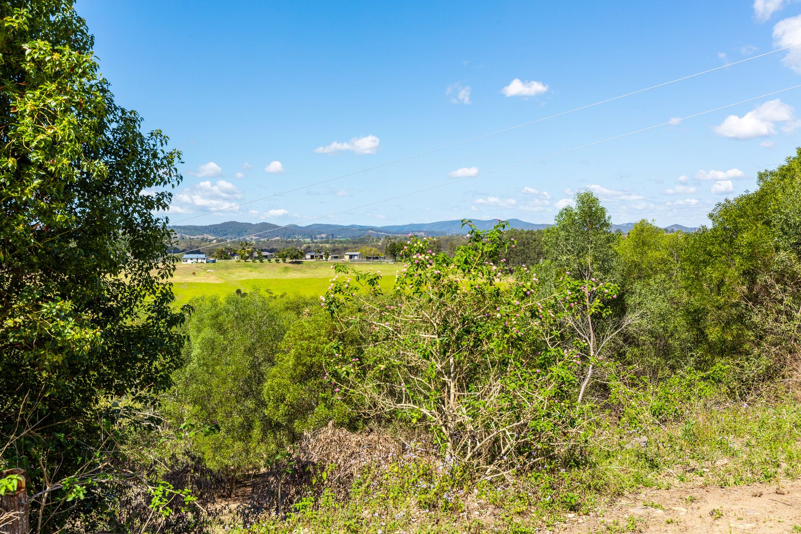 Lot 1 Leshaan Road, Canina QLD 4570, Image 2