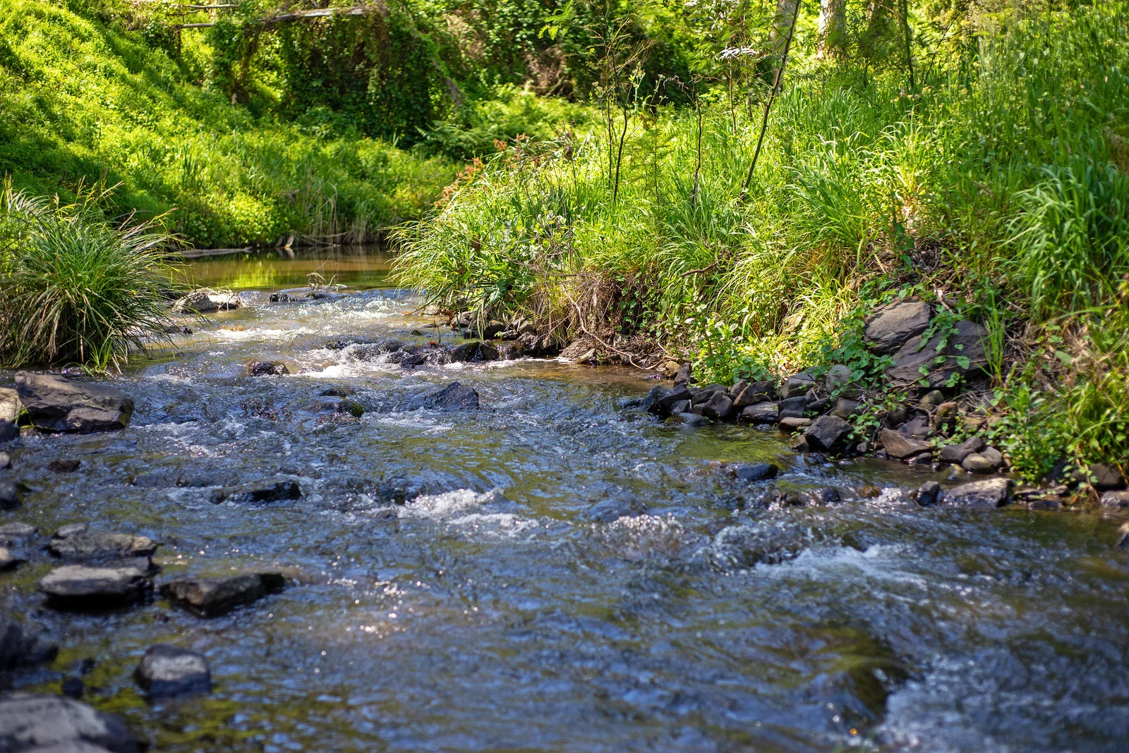 Additional image 43 of 1430 Traralgon Creek Road, Koornalla VIC 3844