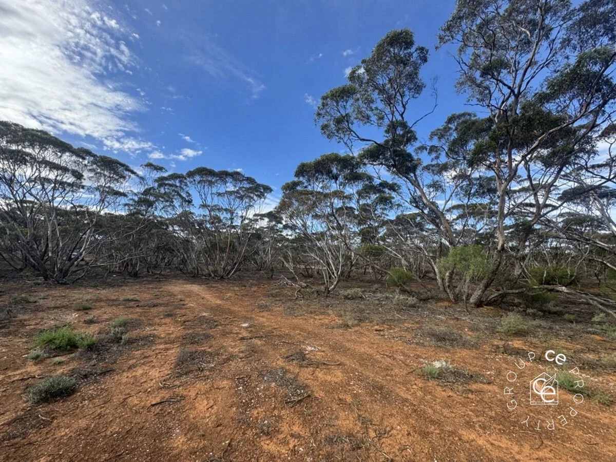 Additional image 2 of Fisher SA 5354