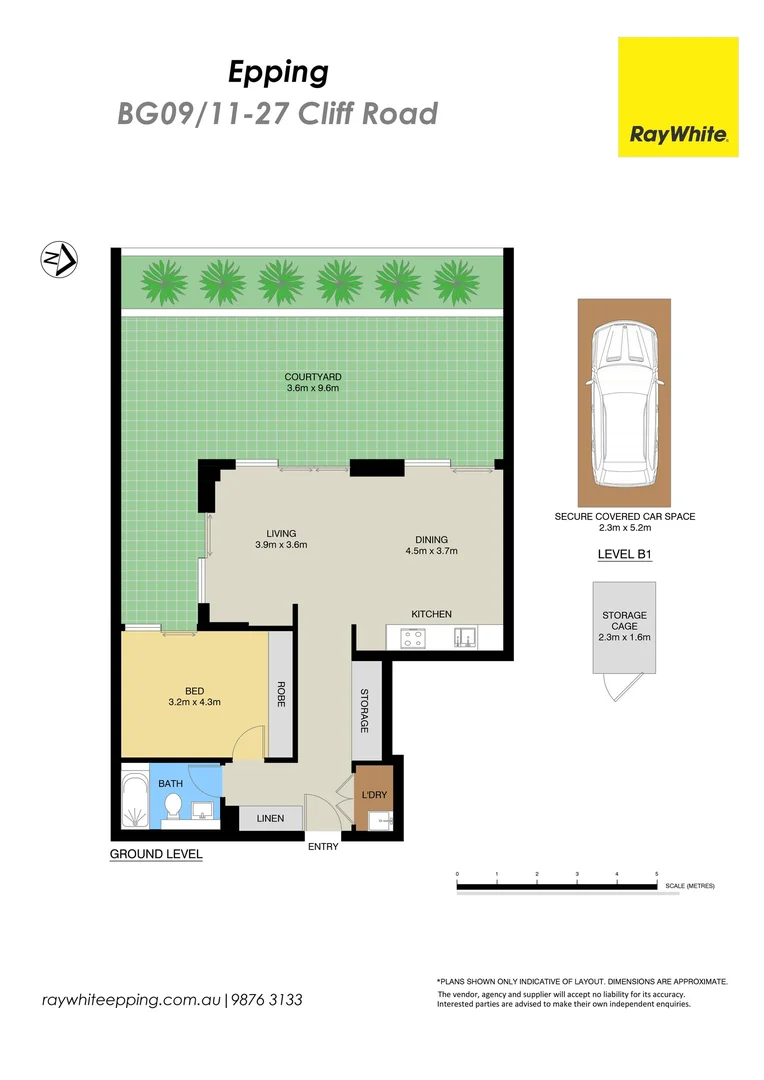 Image 7