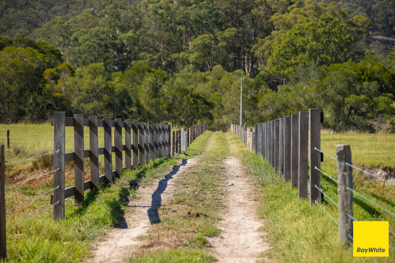 Additional image 3 of 131 Crawford River Road, Crawford River NSW 2423
