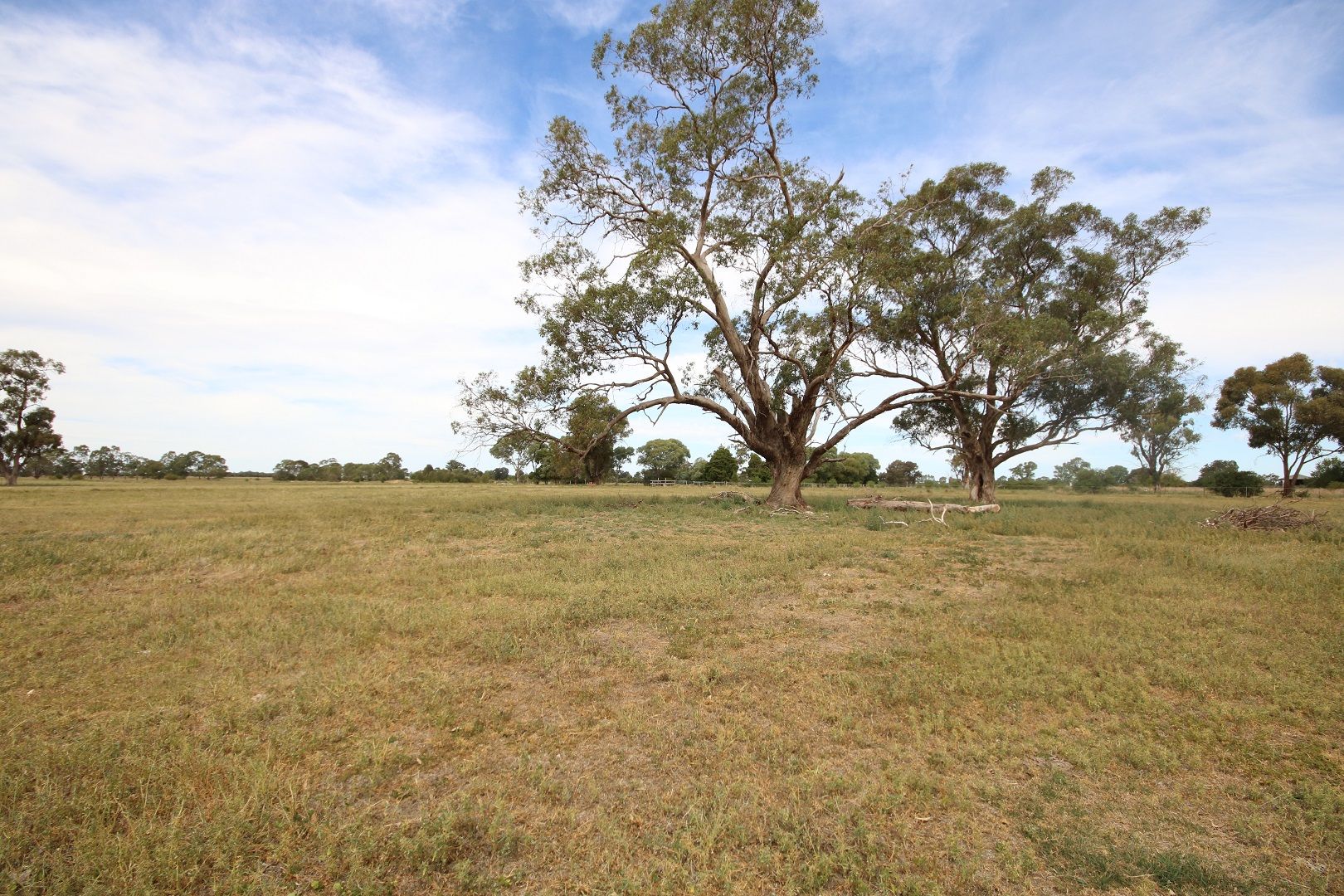 Lot 3 McGrath Road, Stanhope VIC 3623, Image 0