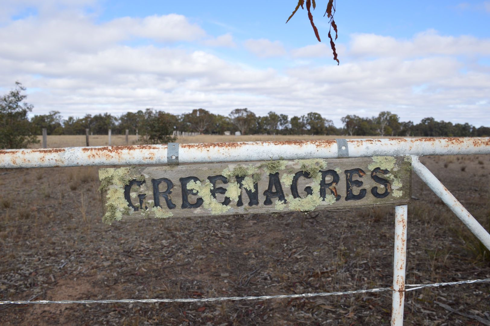 81 King John Lane, Mudgee NSW 2850, Image 1