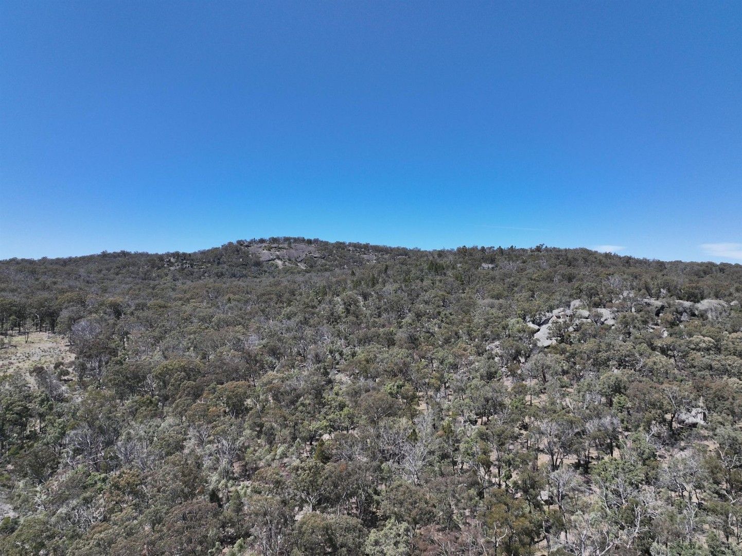 Rural in Lot 1 Brusharbers Road, TENTERFIELD NSW, 2372
