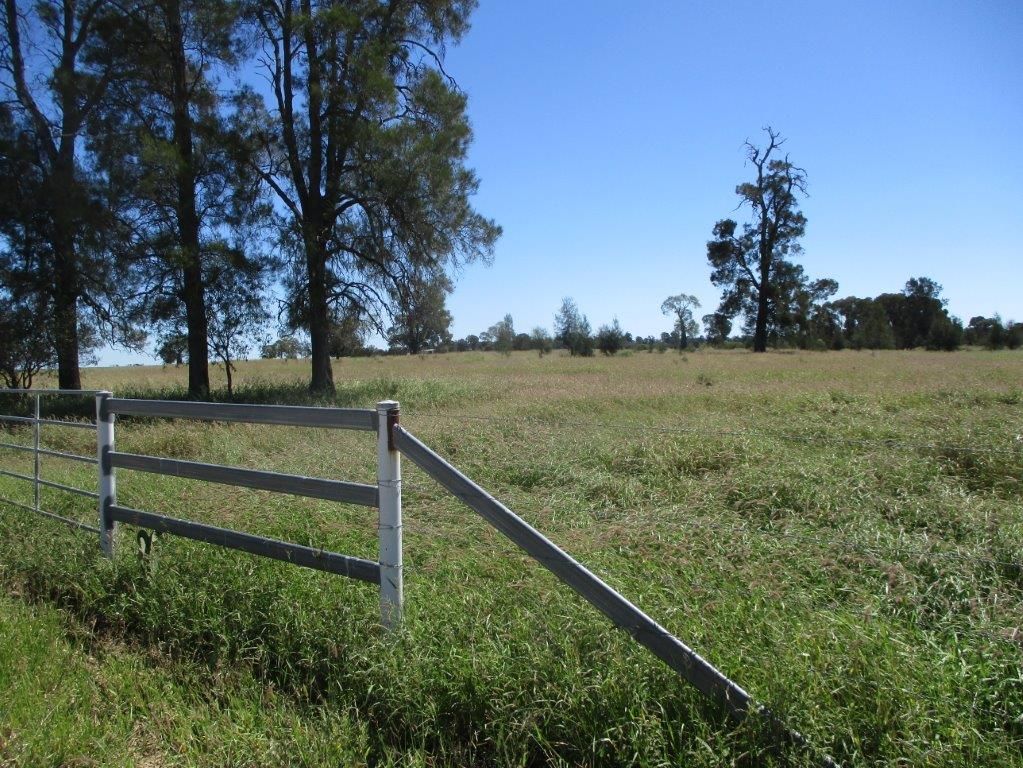INVESTMENT OPPORTUNITY, Chinchilla QLD 4413, Image 2