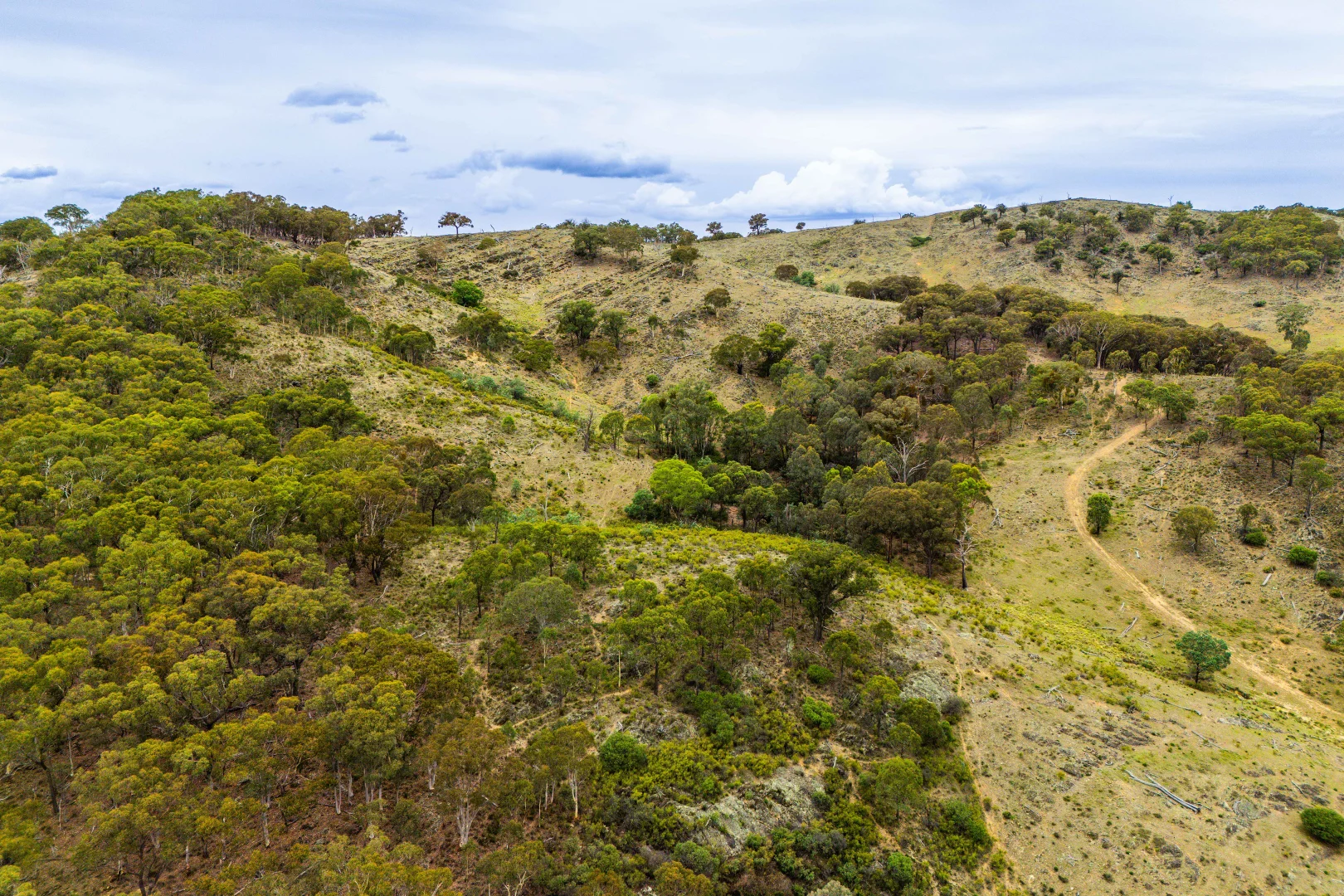 Additional image 22 of 678 Dry Creek Road, Lewis Ponds NSW 2800