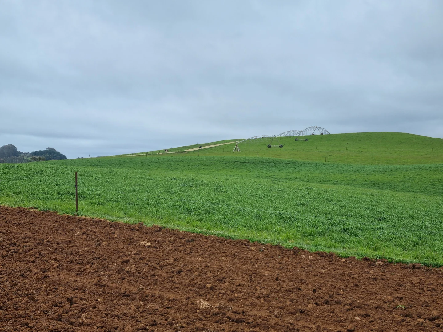 Additional image 18 of 2319 Murchison Highway, Henrietta TAS 7325