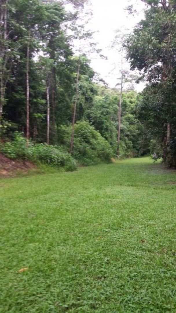 Lot 3 Old Forestry Road, Whyanbeel QLD 4873, Image 2