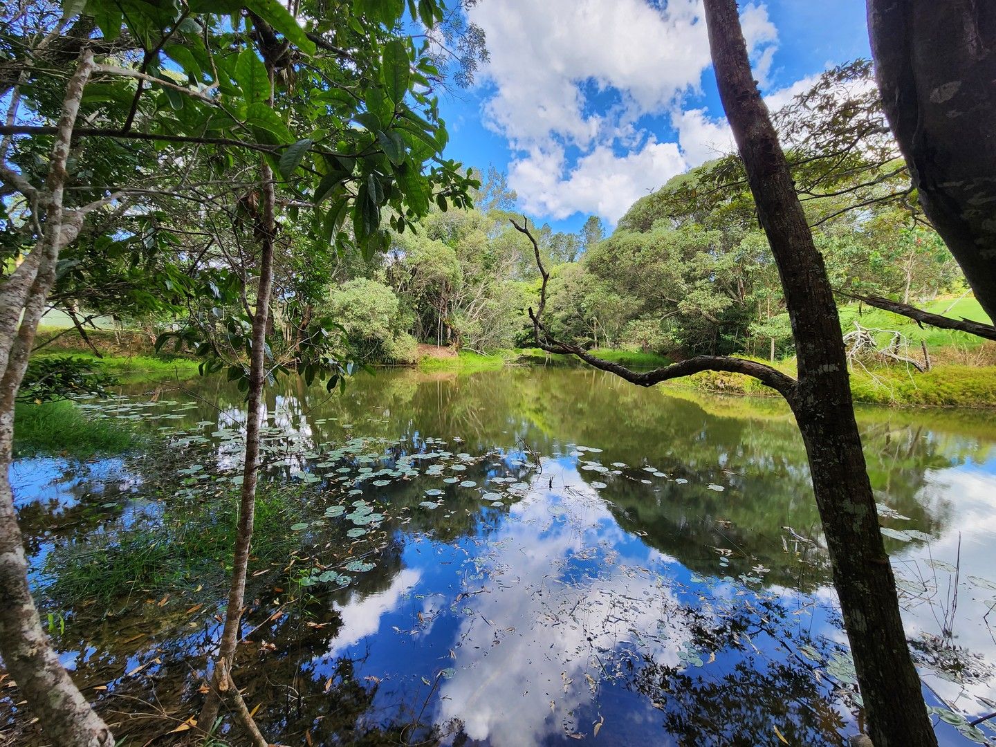 73 McLeish Road, Lake Eacham QLD 4884, Image 0