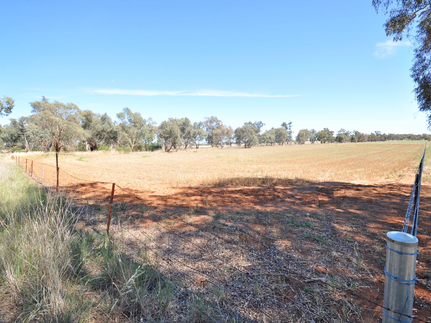 Lot 193 Broad Street, Old Junee NSW 2652, Image 2