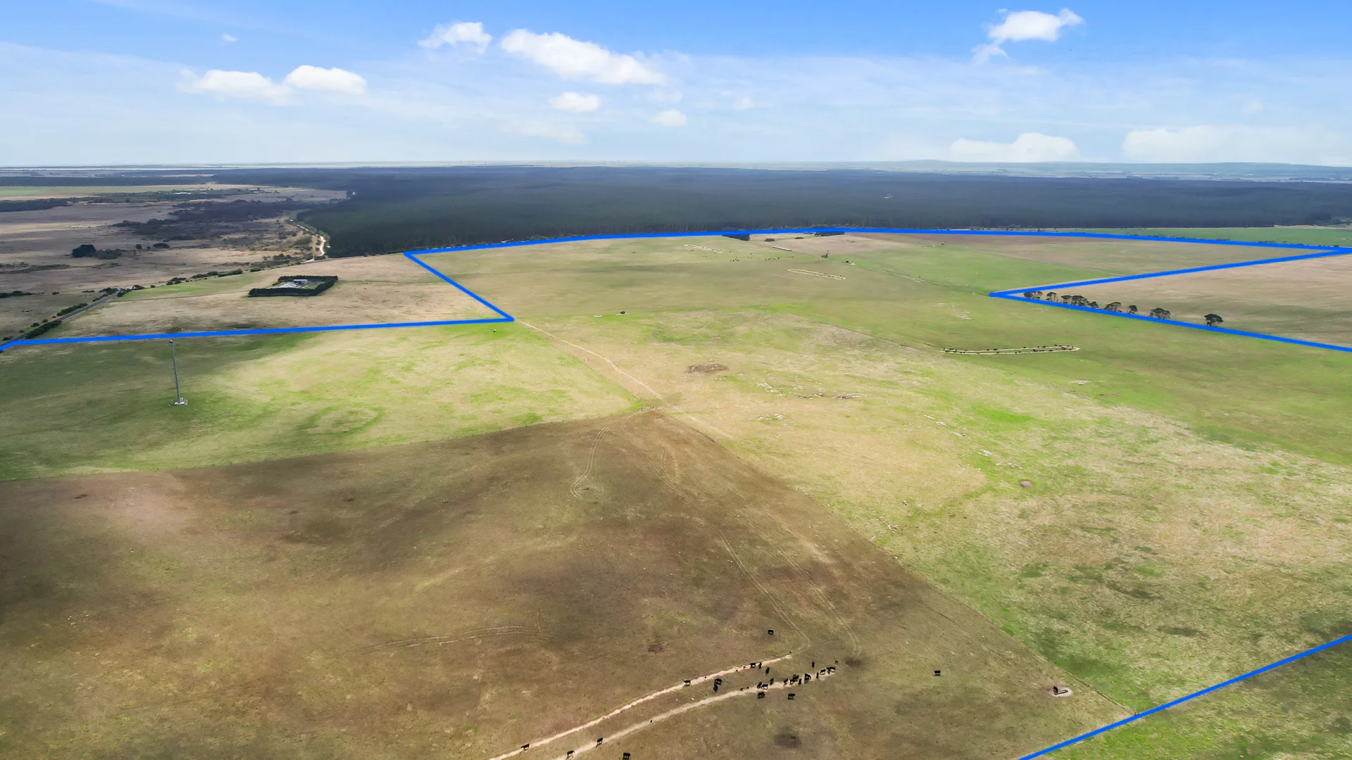 Additional image 8 of 603 Blackfellows Caves Road, Kongorong SA 5291