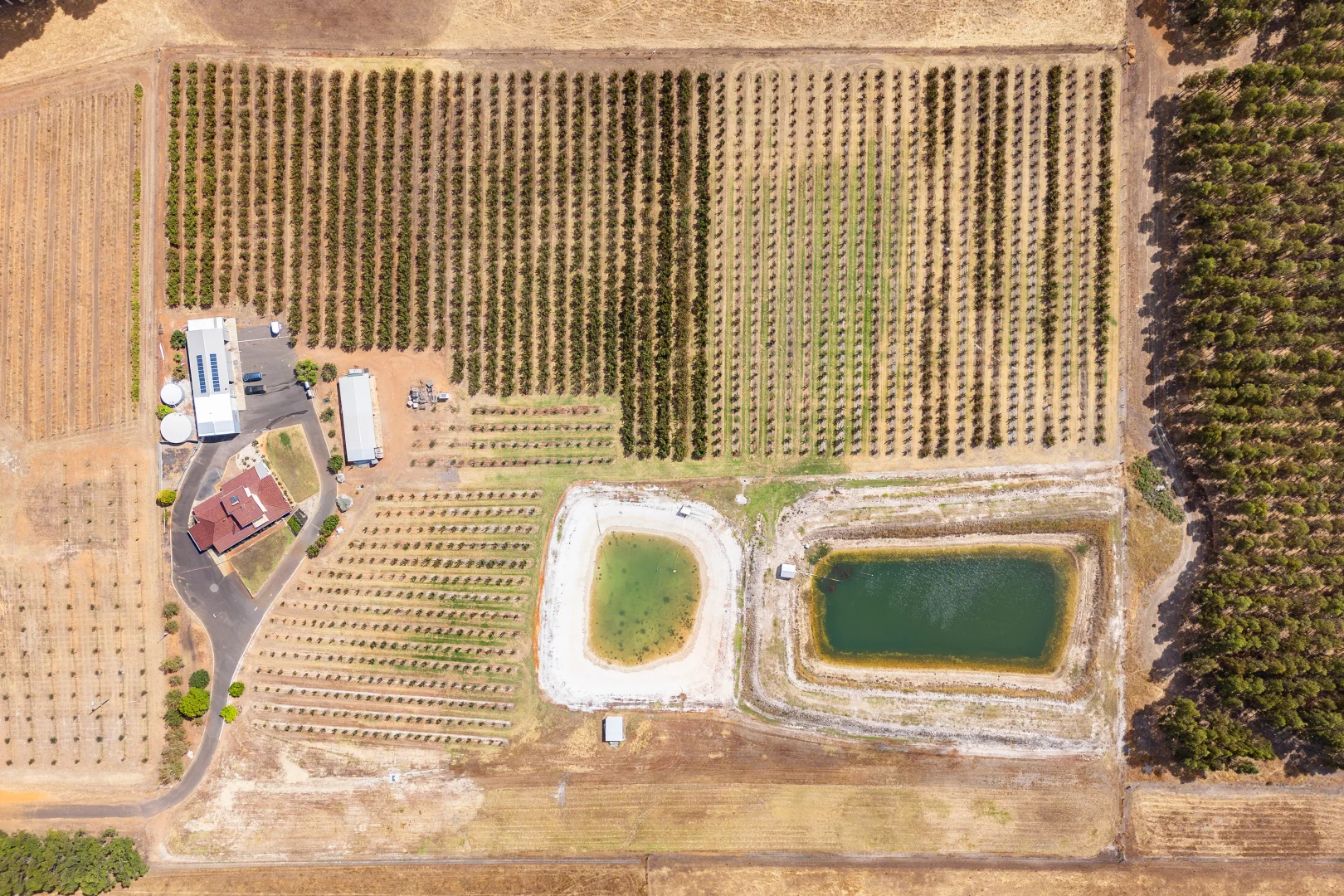 Additional image 27 of 25 Richmond Street, Ringbark WA 6258