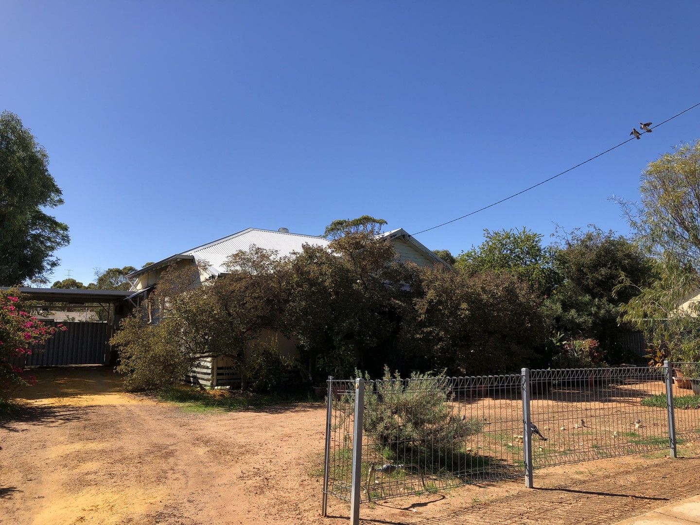 68 James St, Goomalling WA 6460 Domain