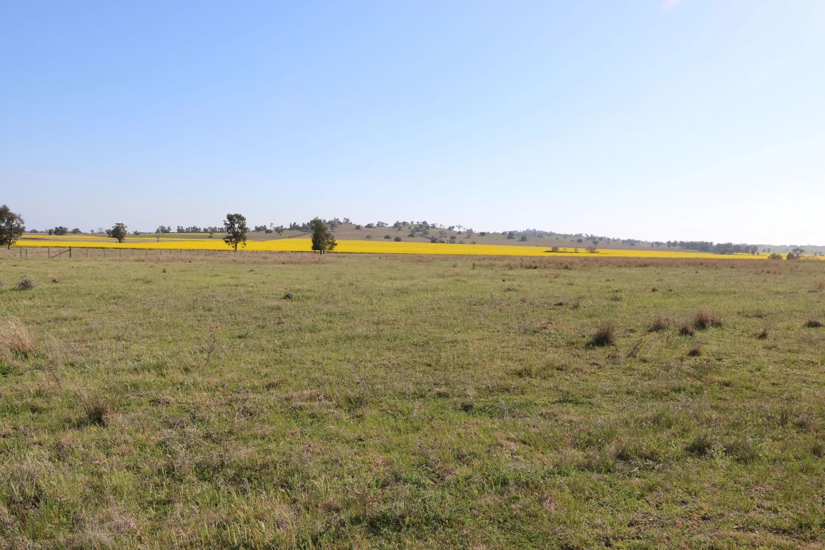 Image 14