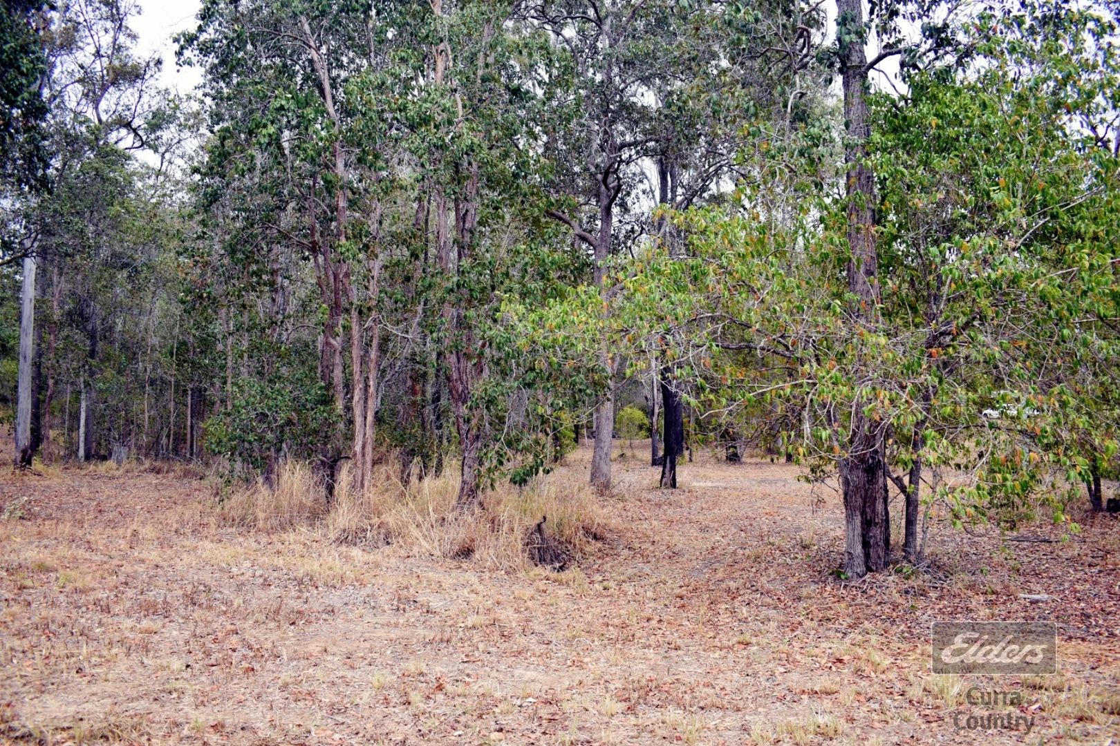 Lot 20 Martyn Road, Bauple QLD 4650, Image 2