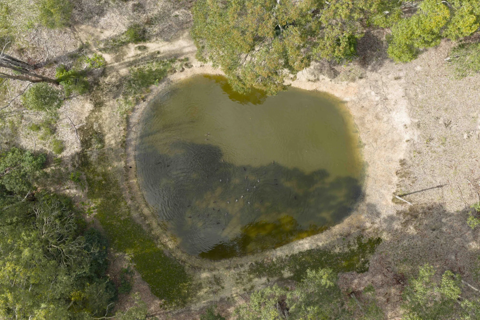 Additional image 42 of 2 Reign Close, Worrigee NSW 2540