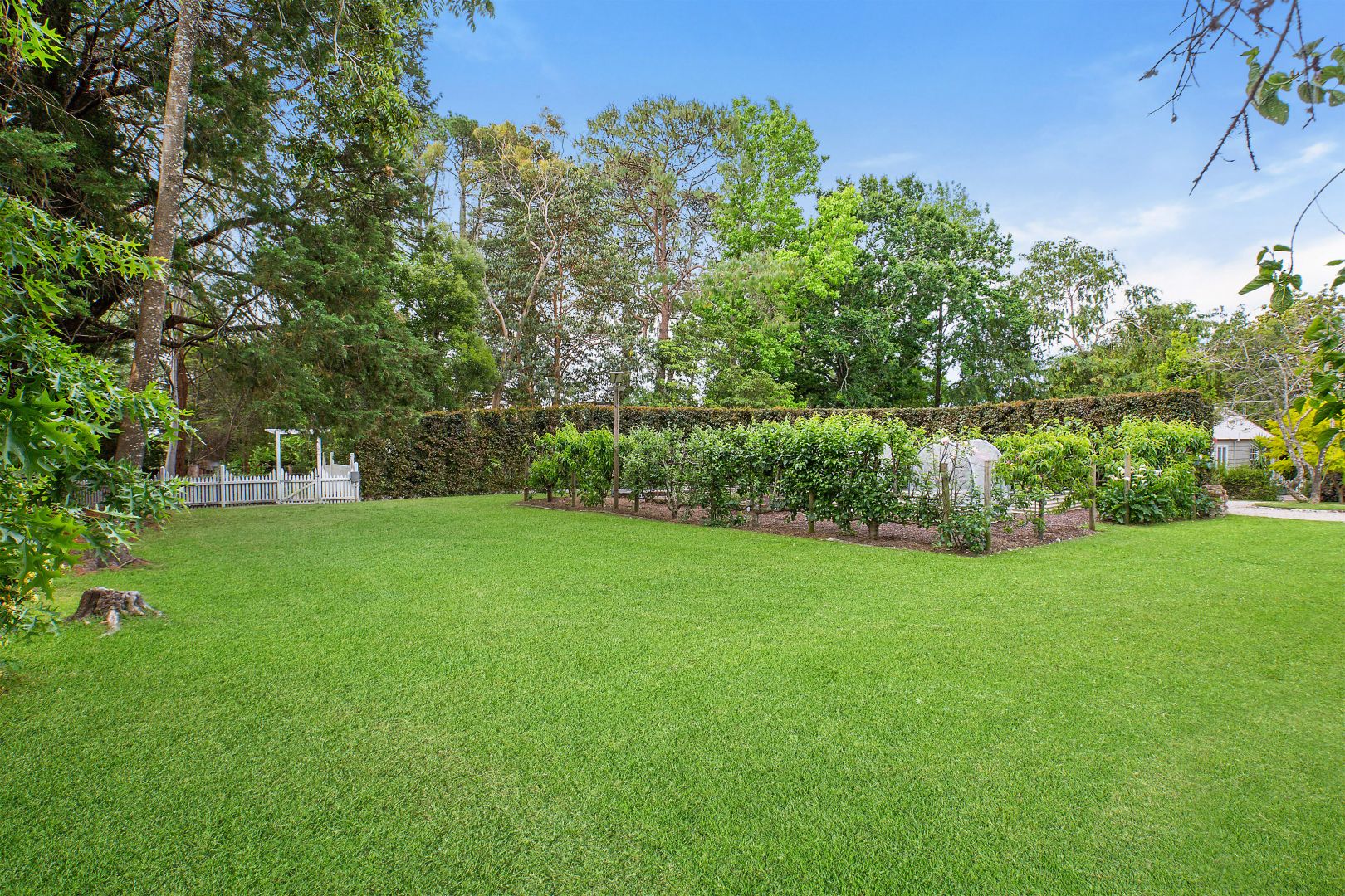 2A Oakura Avenue, Woodford NSW 2778, Image 2