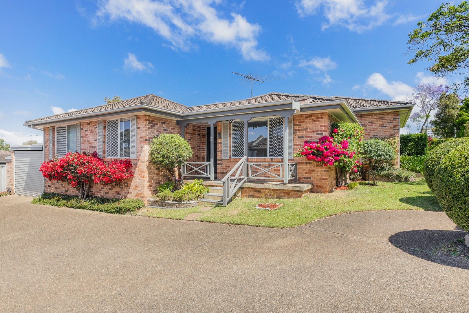 3/1014 Belmont Street, Sutherland NSW 2232 Villa For Rent Domain