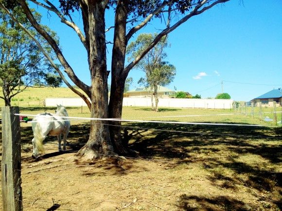 Lot 27 Wye St, STROUD NSW 2425, Image 0