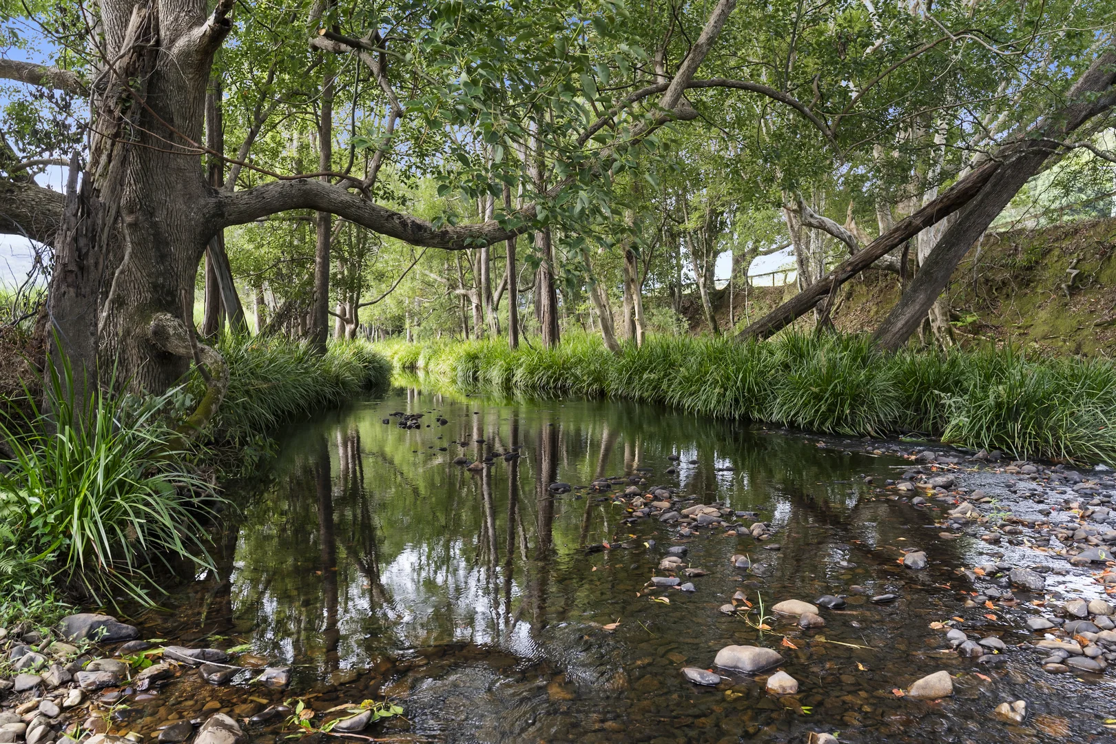 Additional image 34 of 160 Upper Crystal Creek Road, Upper Crystal Creek NSW 2484