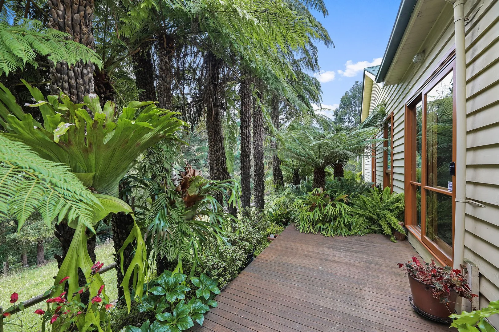 Additional image 18 of 244 Mirboo North-Trafalgar Road, Trafalgar South VIC 3824