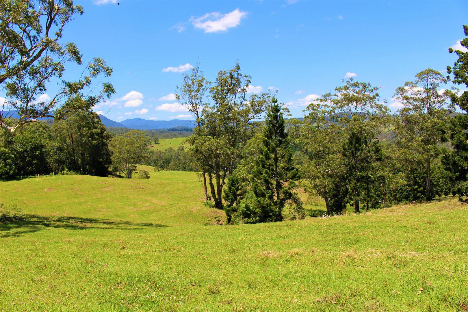 4753 Kyogle Road, Wadeville NSW 2474, Image 0