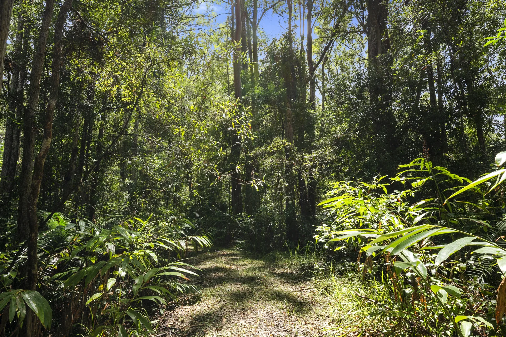 Additional image 6 of 1000 Urliup Road, Urliup NSW 2484