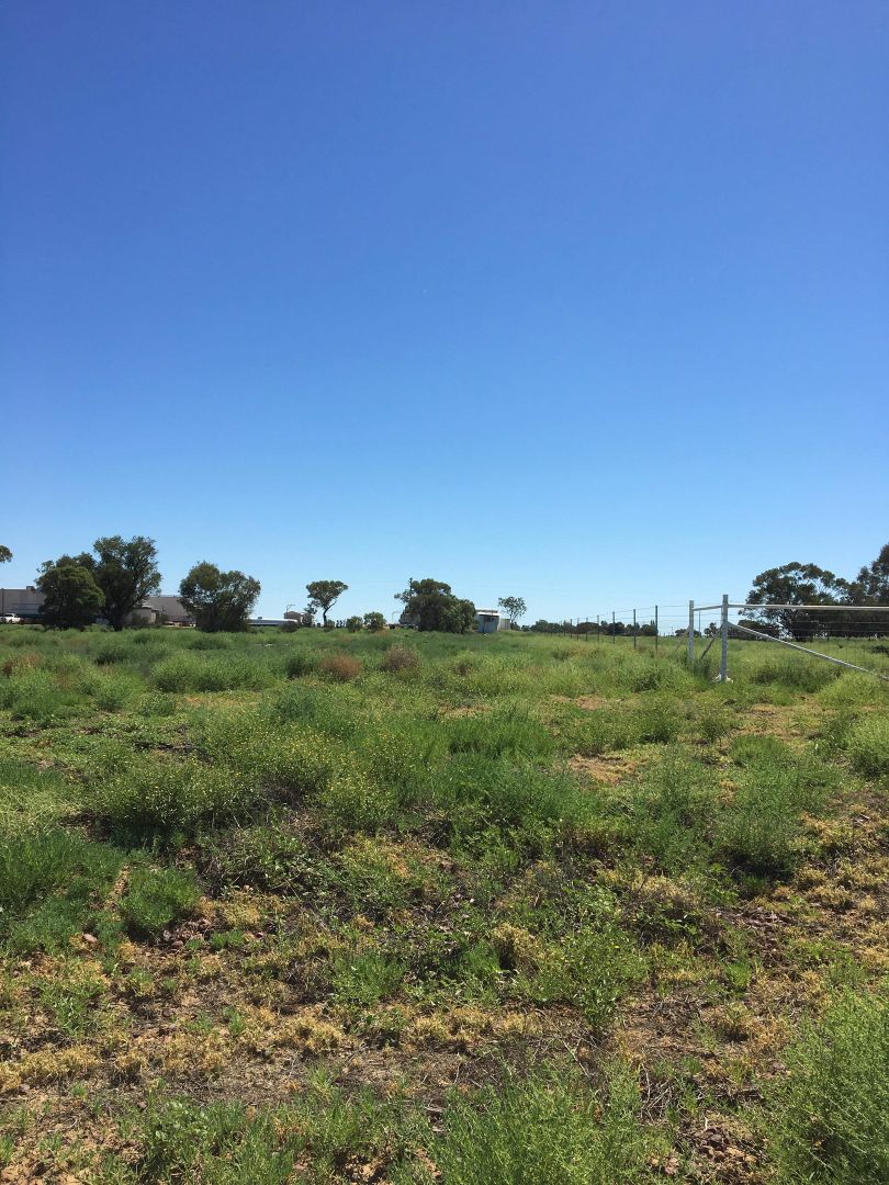 Lot Lot 1 Raven Road, Longreach QLD 4730, Image 2