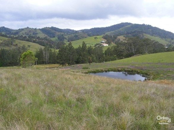 383 Belbora Creek Rd, Belbora NSW 2422, Image 0