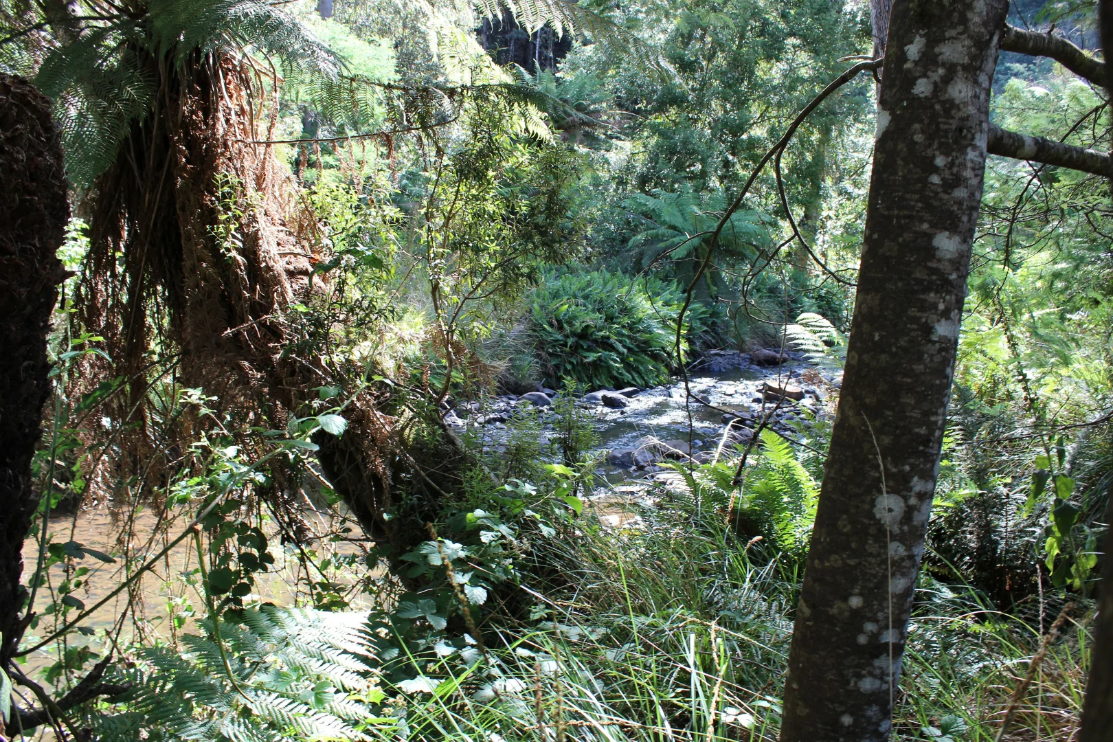 Additional image 6 of 188 Bassetts Road, Calder TAS 7325