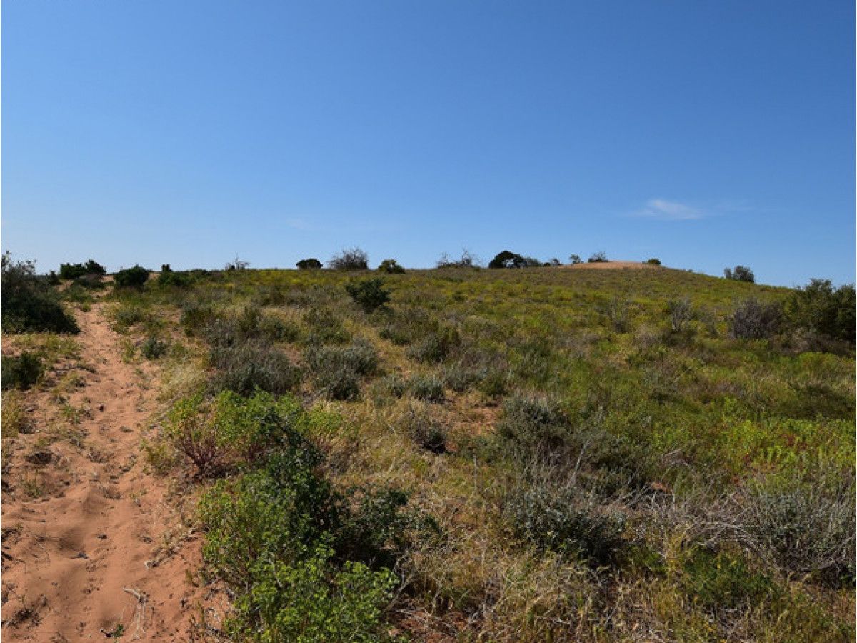 Lot 341 and 346 Rundle Road, Ponde SA 5238, Image 2