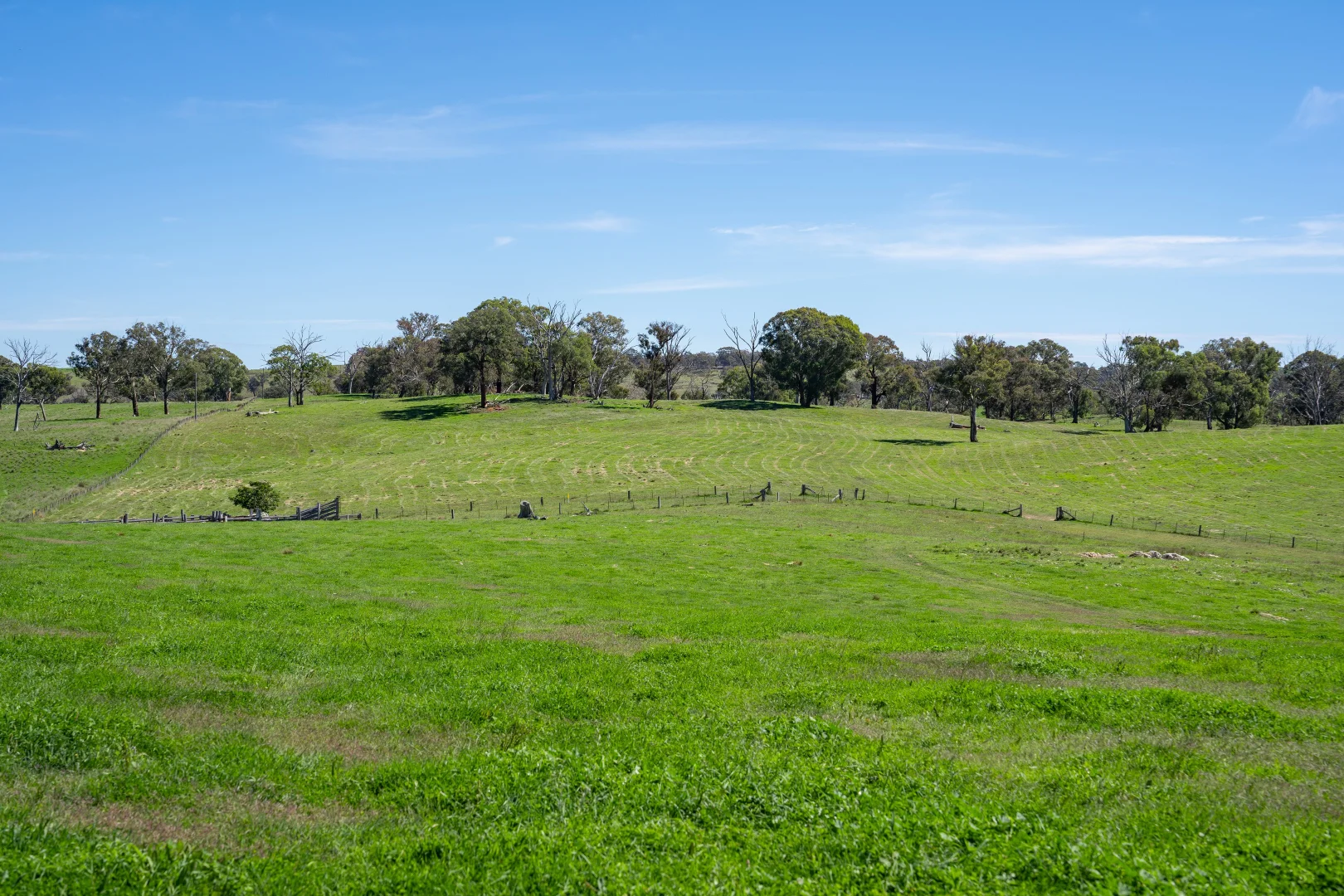 Image 31