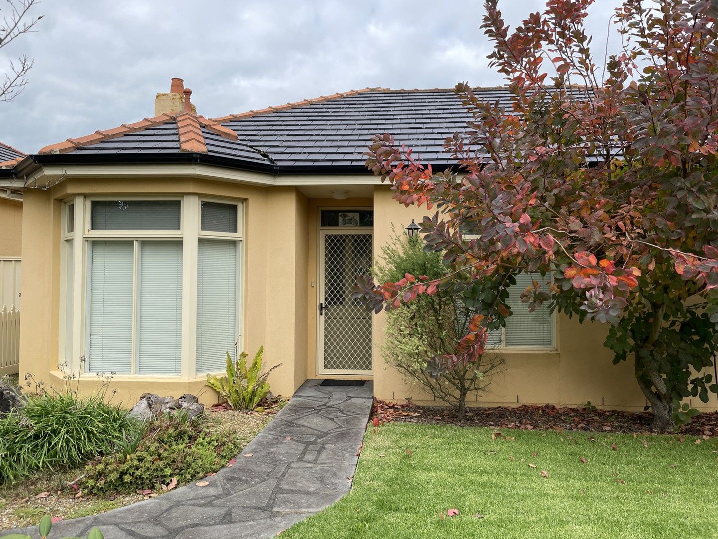 51 Hunter Street, Wonthaggi VIC 3995 House For Rent Domain