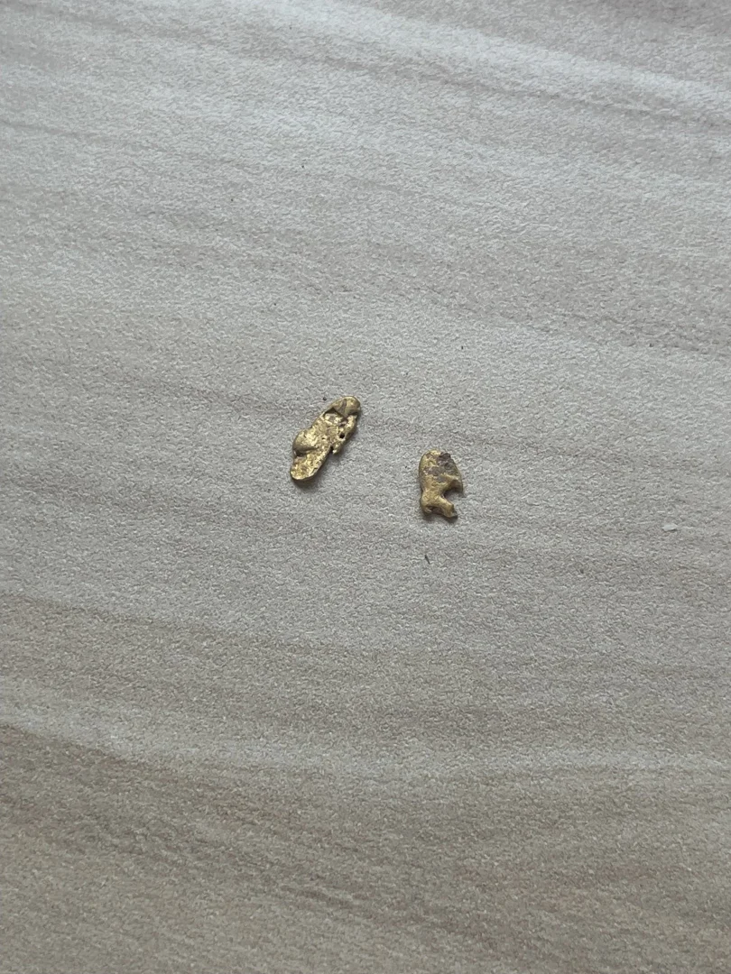 Image 31