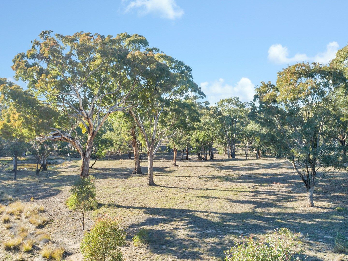 4857 Gundaroo Road, Bellmount Forest NSW 2581, Image 0