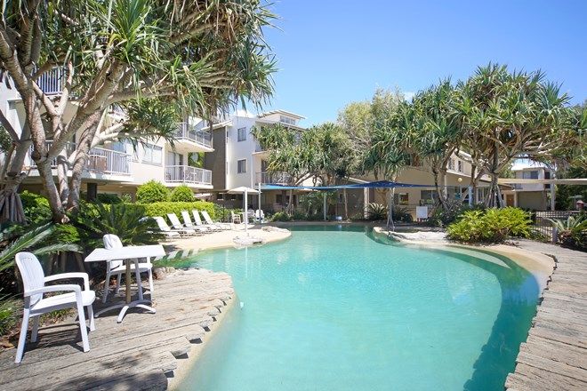 2 1 Bedroom Apartments For Rent In Coolum Beach Qld 4573 Domain