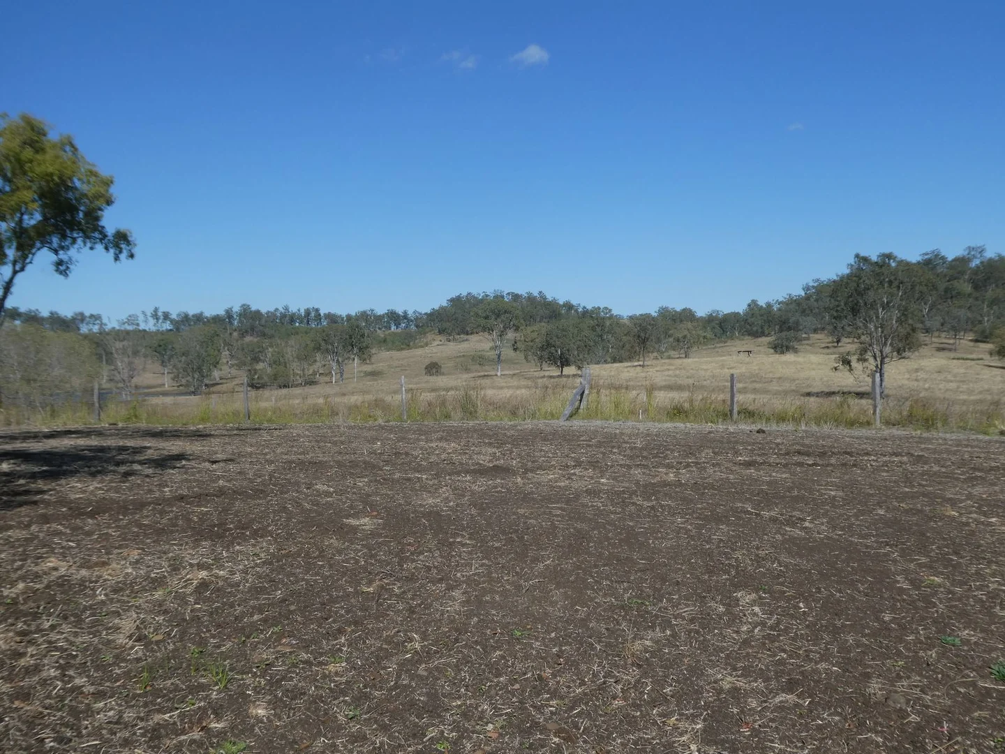 Image 12