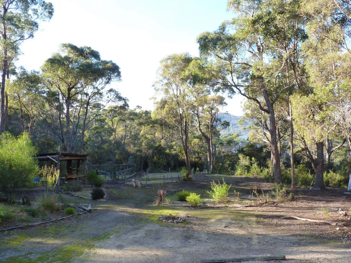 Surges Bay TAS 7116, Image 0