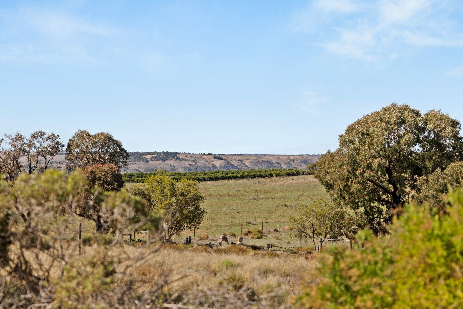 Lot 102 Woodlane Drive, Mypolonga SA 5254, Image 0