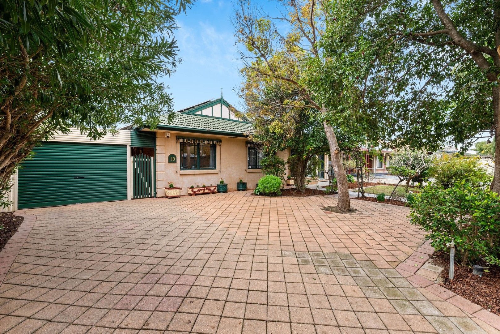 19 Moseley Road, Paradise SA 5075, Image 0