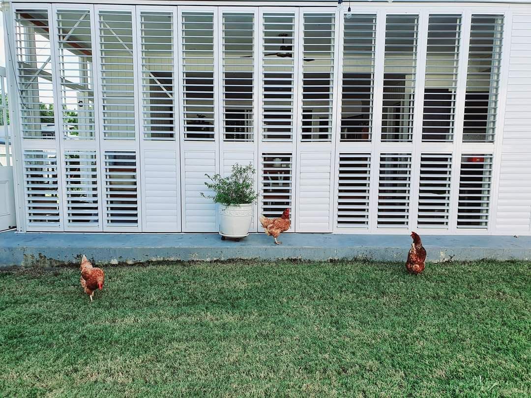 32 Keenan Street, Oonoonba QLD 4811 House For Rent Domain