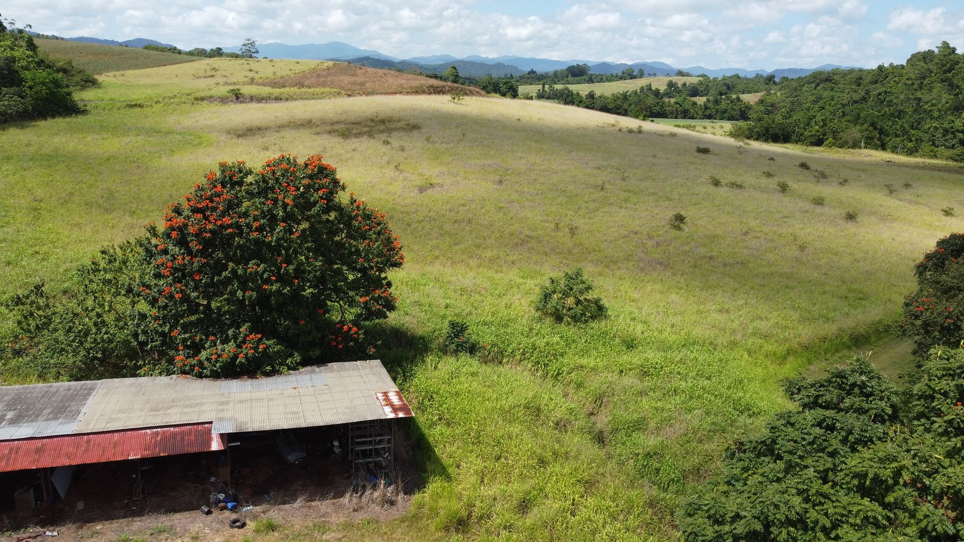 Camp Creek QLD 4871, Image 2