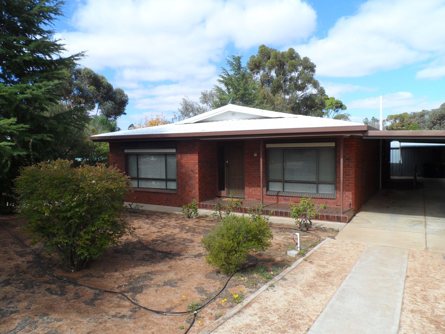 18 Westbrook Avenue, Loxton SA 5333, Image 1